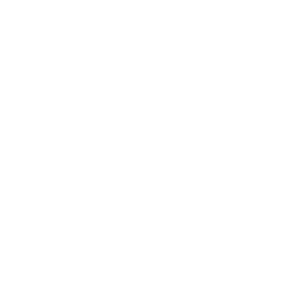 Naya Accessories Logo